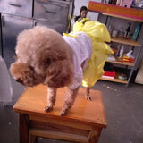 Pet Clothes Tutu Puppy Princess Small to Medium Dogs Pet Apparel Dress