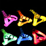 Nylon Pet Safety LED Harness Flashing Light Leash Rope Belt