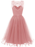 Women's Vintage Round Collar Sleeveless Backless Lace A Line Dress