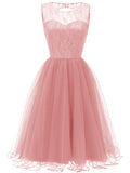 Women's Vintage Round Collar Sleeveless Backless Lace A Line Dress