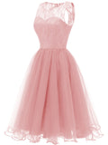 Women's Vintage Round Collar Sleeveless Backless Lace A Line Dress