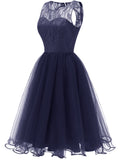 Women's Vintage Round Collar Sleeveless Backless Lace A Line Dress