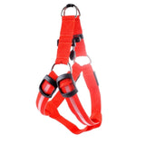 Nylon Pet Safety LED Harness Flashing Light Leash Rope Belt