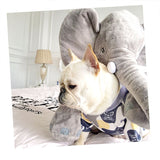 Small Dogs French Bulldog Vest Summer Pet Clothing Chihuahua Petite Puppy Apparel