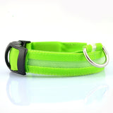 Nylon LED Pet Collar Night Safety Flashing Glow In The Dark