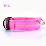 Nylon LED Pet Collar Night Safety Flashing Glow In The Dark