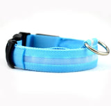 Nylon LED Pet Collar Night Safety Flashing Glow In The Dark