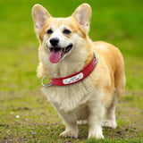 Durable Personalized PU Leather Padded Pet ID Collar Customized Small Medium Large