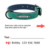 Custom Leather Personalized Pet Tag Collar Leash Lead Small Medium Large Dogs