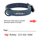 Custom Leather Personalized Pet Tag Collar Leash Lead Small Medium Large Dogs