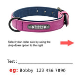 Custom Leather Personalized Pet Tag Collar Leash Lead Small Medium Large Dogs