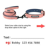 Custom Leather Personalized Pet Tag Collar Leash Lead Small Medium Large Dogs