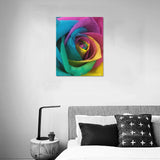 Band of Colors Flora Frame Canvas Print 16"x20"(Made in USA)