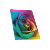 Band of Colors Flora Frame Canvas Print 16"x20"(Made in USA)