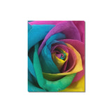 Band of Colors Flora Frame Canvas Print 16"x20"(Made in USA)