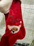 My Christmas Dog Stocking