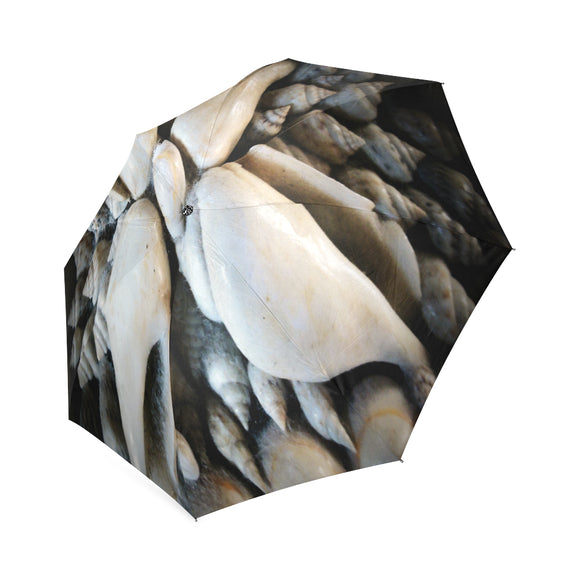 Vignette Sea Shells Foldable Umbrella