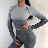 Women Nepoagym Ombre Cropped Seamless Long Sleeve Top