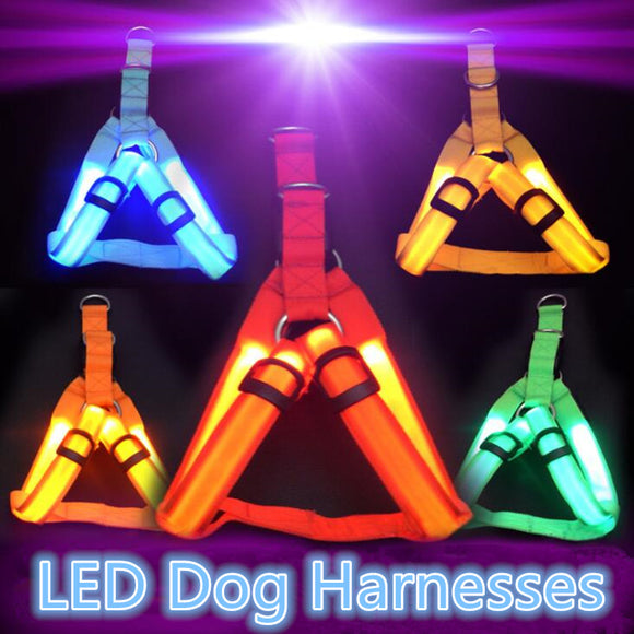 Nylon Pet Safety LED Harness Flashing Light Leash Rope Belt