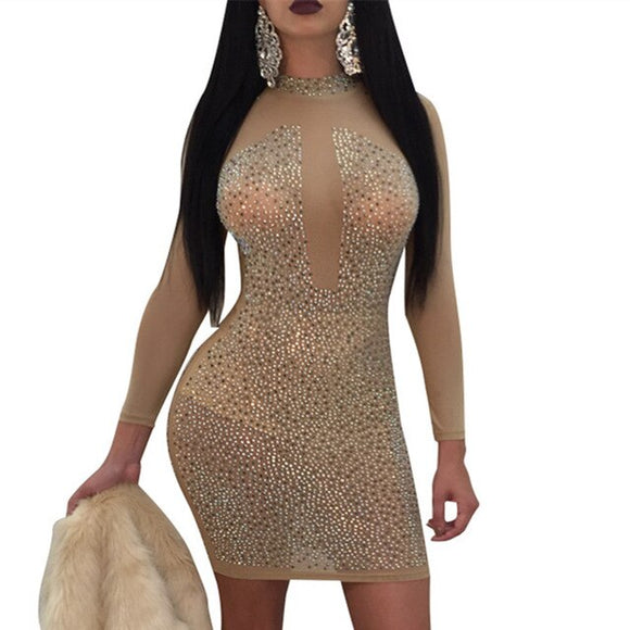 Women's Mesh Bodycon Long-Sleeved Perspective Dress
