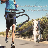 Pet Dog Running Leash Rope 2 handles Jogging Walking Reflective Hands