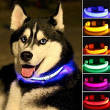 Nylon LED Pet Collar Night Safety Flashing Glow In The Dark
