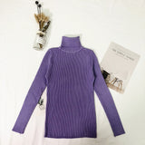 PADEGAO Winter Tops Turtleneck Sweater Women Thin Pullover Jumper Knitted