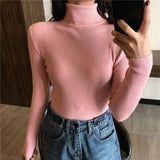 Women Thick Sweater Knitted Ribbed Pullover Long Sleeve Turtleneck