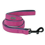 Custom Leather Personalized Pet Tag Collar Leash Lead Small Medium Large Dogs
